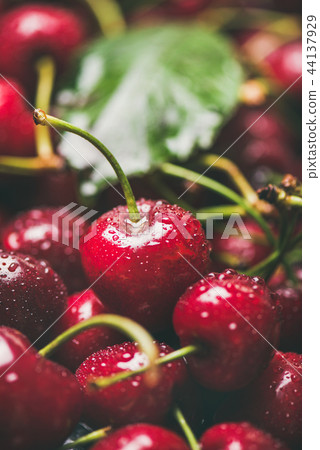 Fresh wet sweet cherries texture, wallpaper and background 44137929