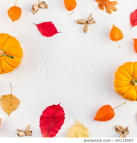 Frame made of pumpkins dried flowers and leaves Frame made of pumpkins dried flowers and leaves 44138007