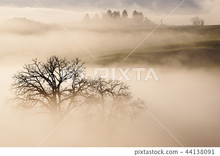 Drowned in the fog 44138091