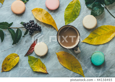 Autumn fall flat lay composition isolated Autumn fall flat lay composition isolated 44138493