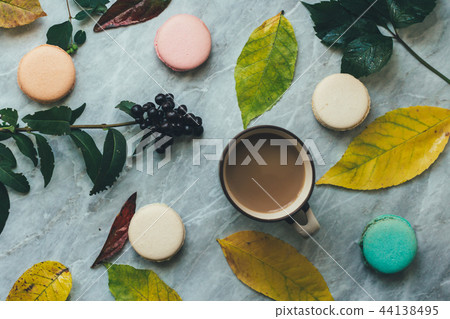 Autumn fall flat lay composition isolated Autumn fall flat lay composition isolated 44138495