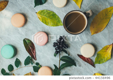 Autumn fall flat lay composition isolated Autumn fall flat lay composition isolated 44138496