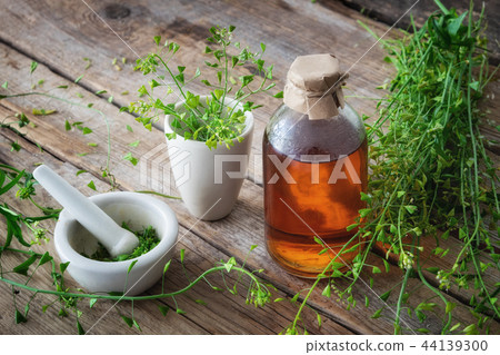 Shepherds purse, bottle of tincture, mortar 44139300