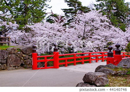 弘前城櫻花Uchimo /坂岡橋/本丸2018年弘前櫻花節 弘前城櫻花Uchimo /坂岡橋/本丸2018年弘前櫻花節 44140746