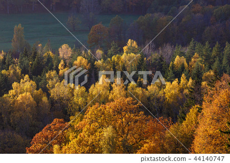 Majestic landscape with autumn forest hills. Sigulda, Latvia, Europe Majestic landscape with autumn forest hills. Sigulda, Latvia, Europe 44140747