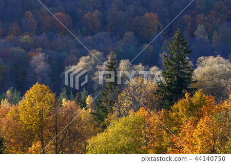 Majestic landscape with autumn forest hills. Sigulda, Latvia, Europe Majestic landscape with autumn forest hills. Sigulda, Latvia, Europe 44140750