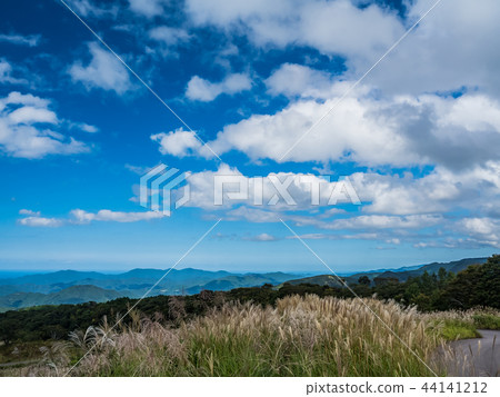 Susukino of the Kamiyama plateau 44141212