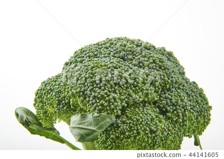 broccoli 44141605