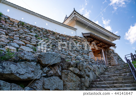 (Shizuoka Prefecture) Hamamatsu Castle Tenmon 44141647