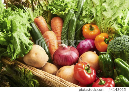 Gathering of fresh vegetables 44142035