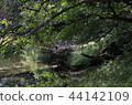 Shiobara大沼公園的早秋 44142109