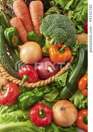Gathering of delicious vegetables 44142192
