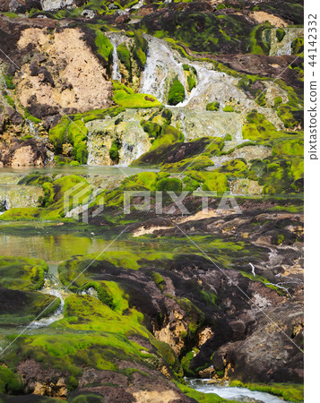 Chabo Mokeke Park Chabo Mokeke Park 44142332