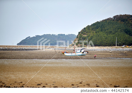 海灘在仁川,泰安郡,韓國 海灘在仁川,泰安郡,韓國 44142574