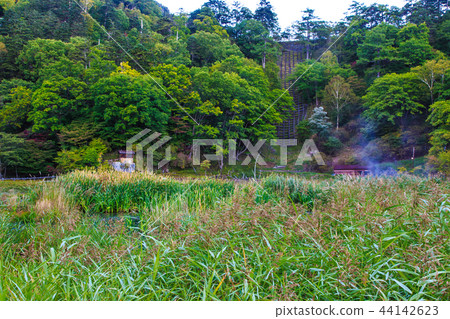 Yunohira wet field Morning scenery [Tochigi Prefecture Nikko City Yumoto] 44142623