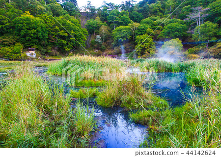 Yunohira wet field Morning scenery [Tochigi Prefecture Nikko City Yumoto] 44142624
