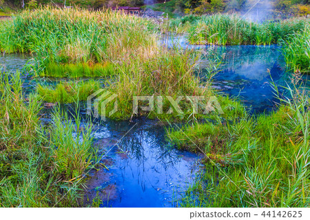 Yunohira wet field Morning scenery [Tochigi Prefecture Nikko City Yumoto] 44142625