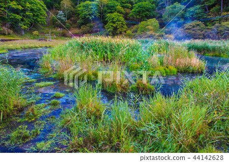 Yunohira wet field Morning scenery [Tochigi Prefecture Nikko City Yumoto] 44142628