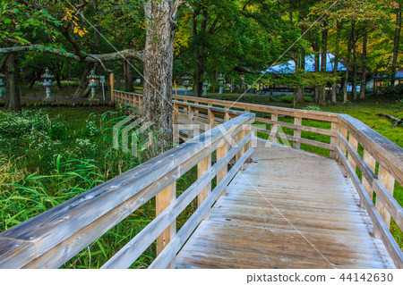 Yunohira wet field Morning scenery [Tochigi Prefecture Nikko City Yumoto] 44142630