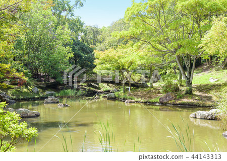 濱松城公園日本花園（靜岡縣濱松市Jo Ward） 44143313