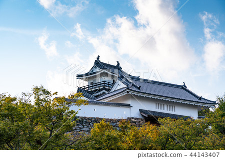 （靜岡縣）濱松城堡城堡塔 44143407