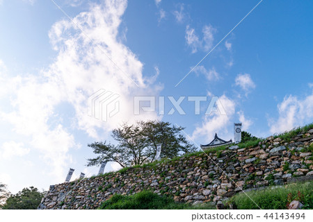 (Shizuoka Prefecture) Hamamatsu Castle Ishigaki 44143494