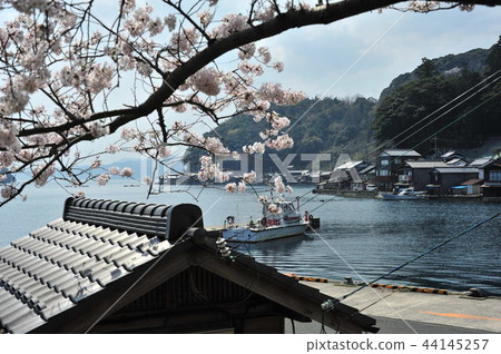 Spring of Ine 44145257