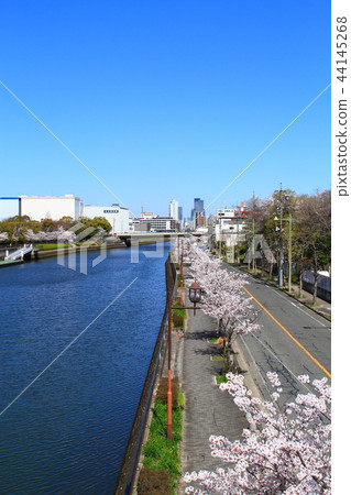 春天名古屋市都市風景 44145268