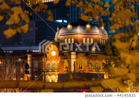 黃色銀杏樹和東京站在晚上 44145835