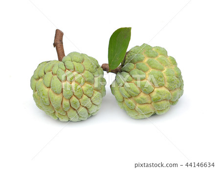 Custard apple isolated on white background,annona 44146634