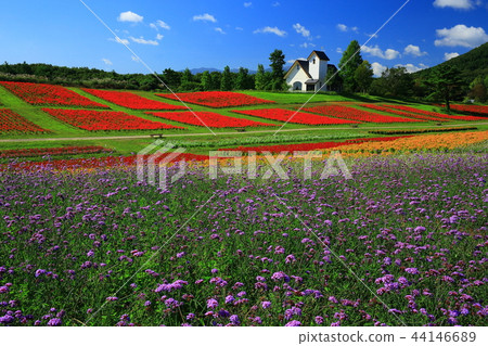 Miyagi Prefecture Yayoi Garden Miyagi Prefecture Yayoi Garden 44146689