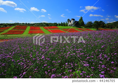 Miyagi Prefecture Yayoi Garden 44146705