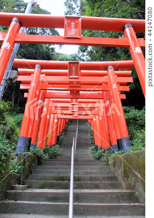 成田寺Fudoji寺的Inarido(Okagaki-cho) 成田寺Fudoji寺的Inarido(Okagaki-cho) 44147080