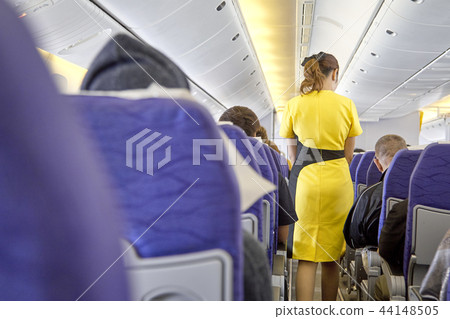 blurred flying attendants ,air hostess blurred flying attendants ,air hostess 44148505