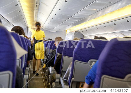 blurred flying attendants ,air hostess blurred flying attendants ,air hostess 44148507