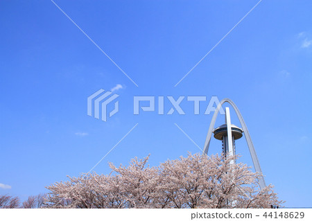 Ichinomiya City Twin Arch 138 and Sakura Ichinomiya City Twin Arch 138 and Sakura 44148629
