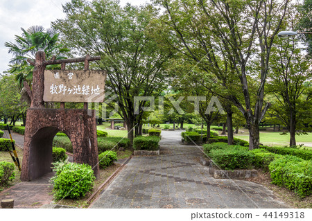 Aichi Prefecture Nagoya City Makinogaike Green Space 44149318