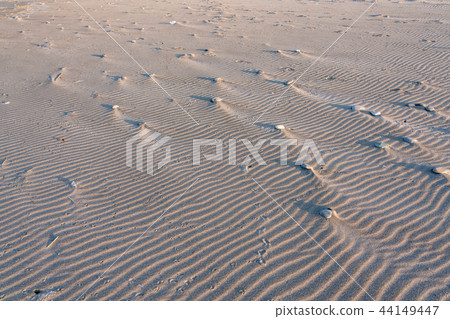 (Shizuoka Prefecture) Windprints of Nakatajima sand dunes (Shizuoka Prefecture) Windprints of Nakatajima sand dunes 44149447