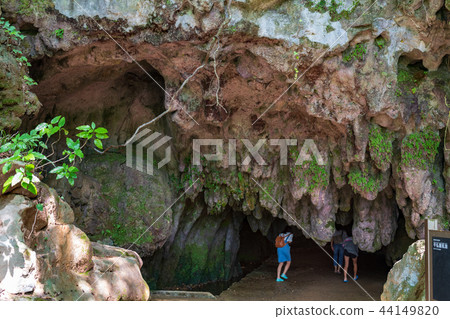 Hiraodai Thousand Buddha Buddha Cave [Kitakyushu City, Fukuoka Prefecture] 44149820