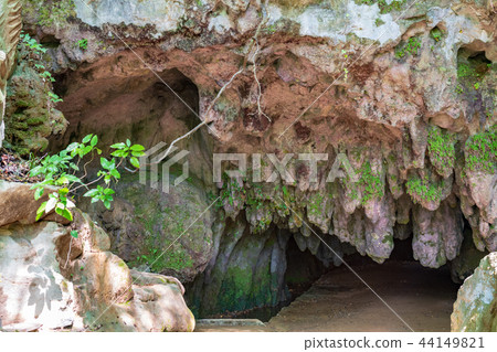 Hiraodai Thousand Buddha Buddha Cave [Kitakyushu City, Fukuoka Prefecture] 44149821