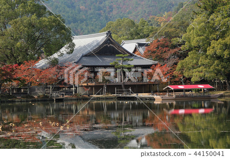 京都Daimaku-ji 44150041