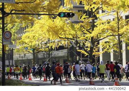 大阪馬拉松 44150042