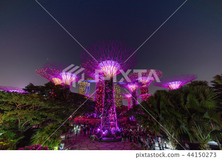 Singapore Gardens by the Bay Night view 44150273