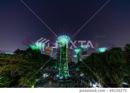 Singapore Gardens by the Bay Night view 44150275