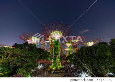 Singapore Gardens by the Bay Night view 44150279