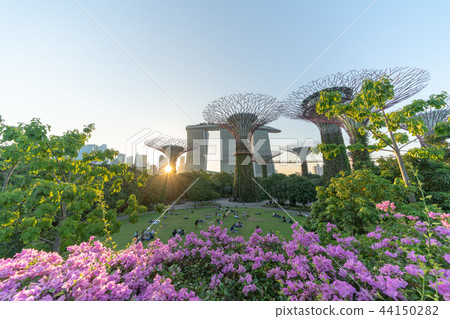 Landscape of Singapore Gardens by the Bay 44150282