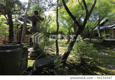在倉敷美麗的地區（從獨立的房子看的花園）的大原府（大原府） 44150387
