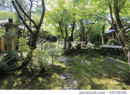 在倉敷美麗的區域（獨立式住宅的花園）的大原府（大原住宅） 44150390
