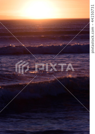 Sunset on the beach 44150731