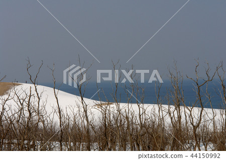 鳥取四季走冬天的鳥取沙丘 鳥取四季走冬天的鳥取沙丘 44150992